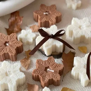 whatsapp image 2026 03 13 at 7.58.25 pm