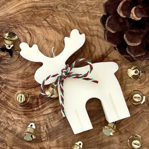 whatsapp image 2026 03 13 at 8.07.20 pm